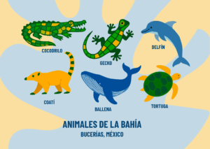 Postal Animales de la Bahía