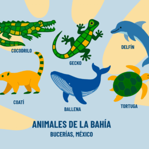 Postal Animales de la Bahía