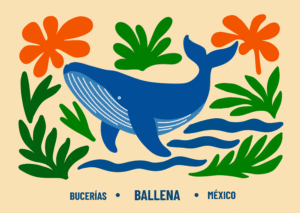 Postal Ballena