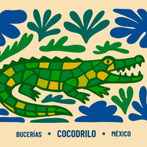 Postal Cocodrilo